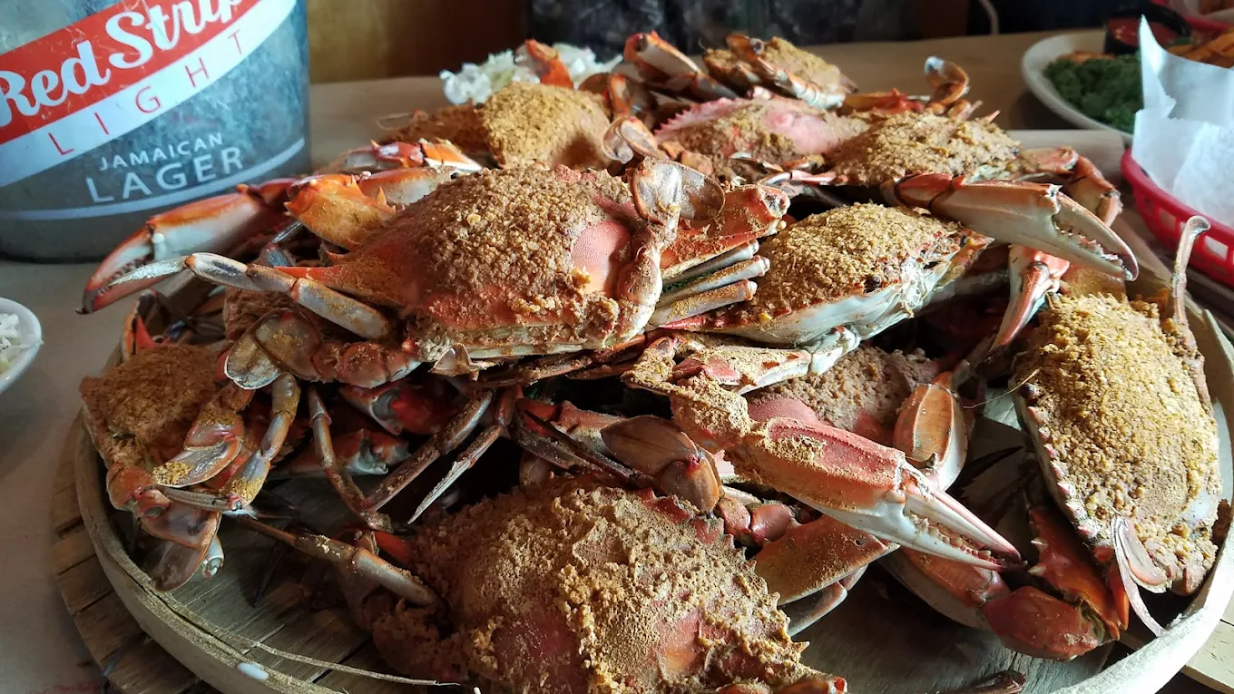 Steamed blue crabs in a bucket with Old Bay seasoning